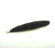 PLUME NOIRE MONTEE