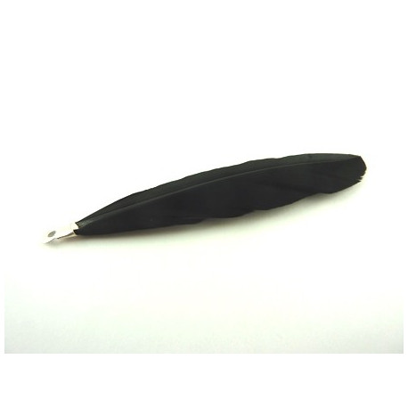 PLUME NOIRE MONTEE