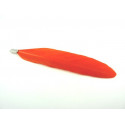 PLUME ORANGE MONTEE