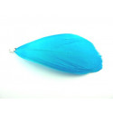 PLUME TURQUOISE MONTEE