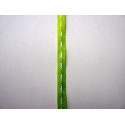 RUBAN 5MM VERT POMME