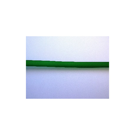 LACET PLAT PVC 6X2 VERT EMERAUDE 50CM