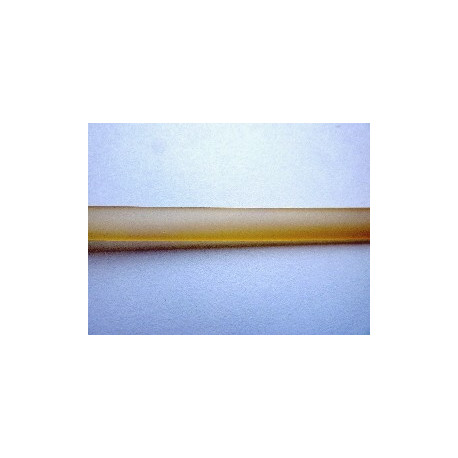 LACET PLAT PVC 6X2 CHAMPAGNE 50CM
