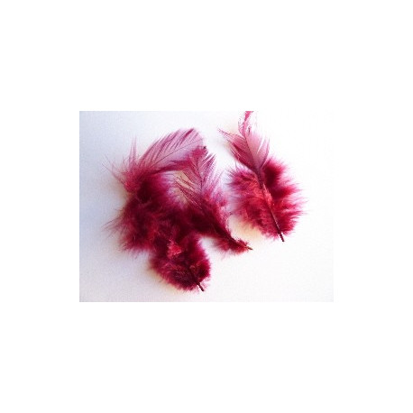 PLUMES BORDEAUX