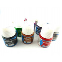 PEINTURE SETACOLOR 